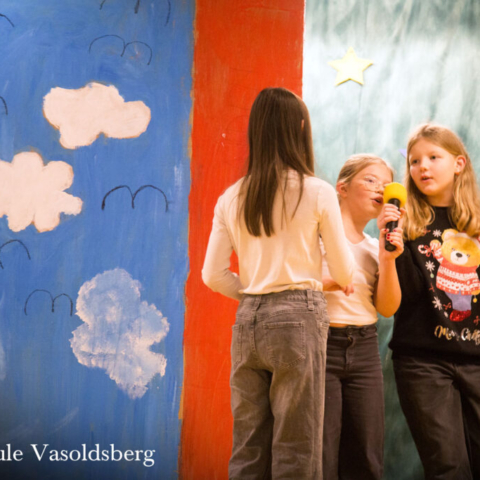 vs-vasoldsberg-2025-weihnachtsfeier-img_4382_1500x1000