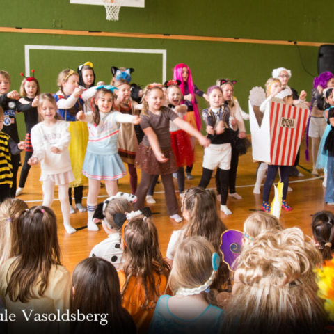 vs-vasoldsberg-2026-faschingstag-img_5019_1500x1000