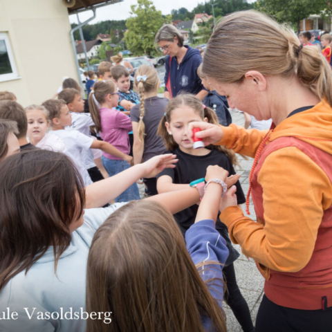 vs-vasoldsberg-2026-benefizlauf-img_6833_1500x1000