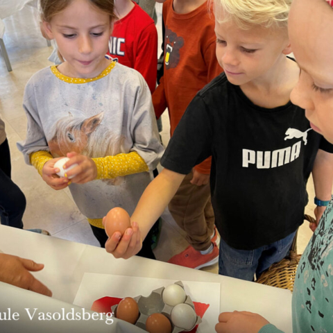 vs-vasoldsberg-2026-bäuerinnentag-img_06_1500x1000