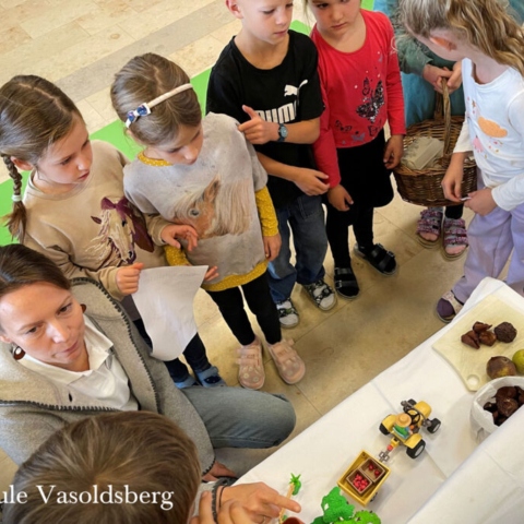 vs-vasoldsberg-2026-bäuerinnentag-img_32_1500x1000